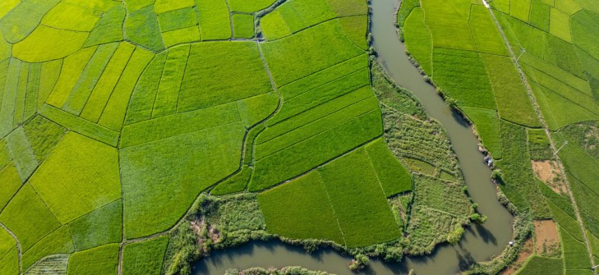 Vietnam Fonds: Neue Chancen in einem dynamischen Marktumfeld