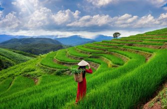 Vietnam 2025: A Compelling Destination for Investment Funds