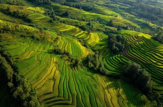 Vietnam Growth Opportunities: Unlocking Long-Term Potential in Asia’s Rising Star