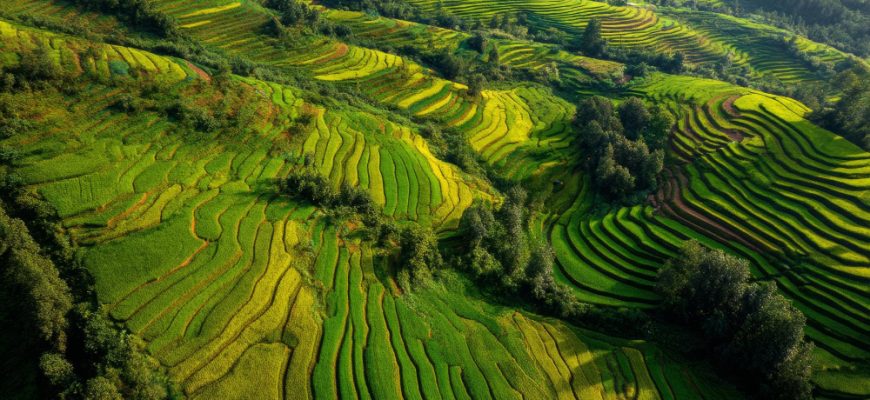 Vietnam Growth Opportunities: Unlocking Long-Term Potential in Asia’s Rising Star