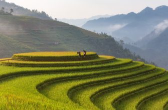Vietnam Economic Outlook 2025: Resilience, Reform, and Regional Leadership