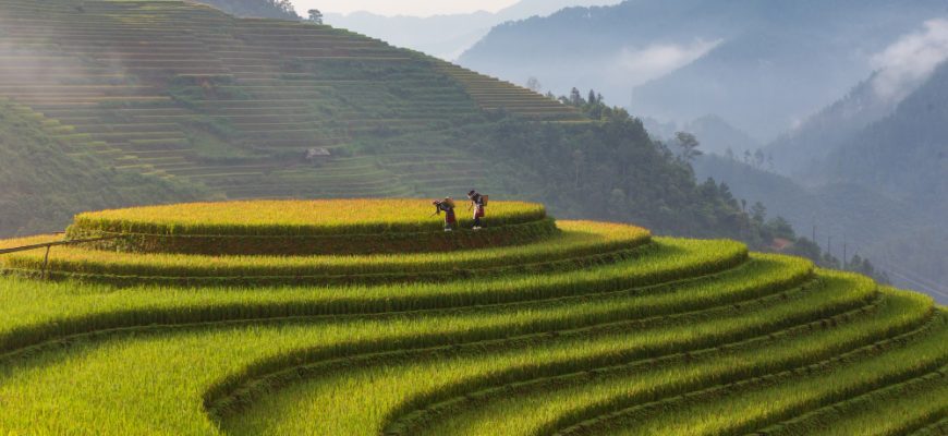 Vietnam Economic Outlook 2025: Resilience, Reform, and Regional Leadership