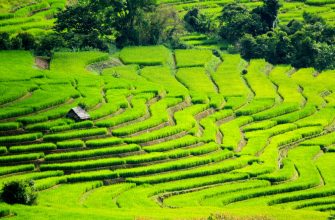 Vietnam Investment Fund: A Strategic Gateway to Asia’s Next Growth Engine