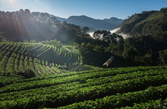 Rethinking Vietnam: Growth, Transformation & Active Fund Strategies