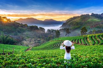 Vietnam 2025: Public Equity in Focus