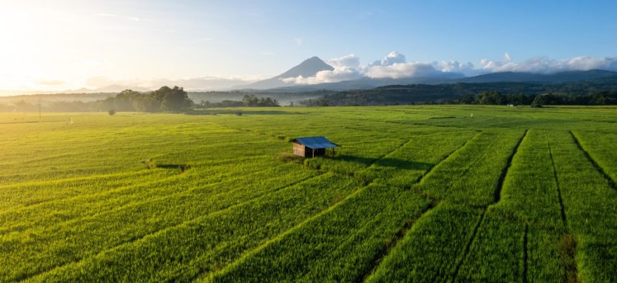 Aktienfond Vietnam: Lokales Wissen trifft globale Investmentstrategie